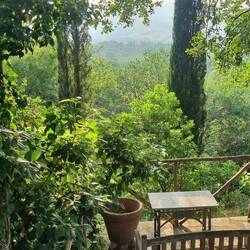 Toller Garten für Bajou