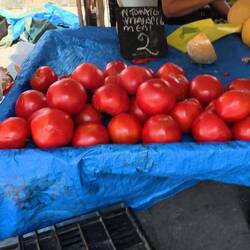 Megagroße Fleischtomaten