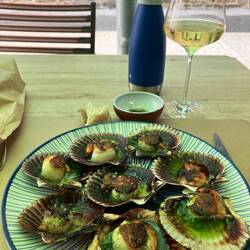 Scallops were wonderful but expensive