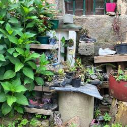 Near Concello de O Pina: shoe pots