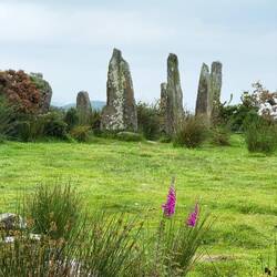 Ardgroom Stone Circle