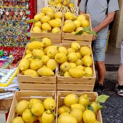 Lemons, lemons and more lemons