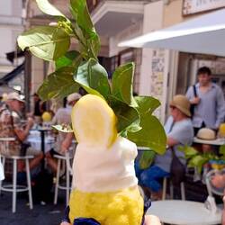 No cone required 😊