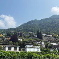 Cugnasco