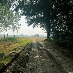 Laut Navi sollte hier ein Weg sein. Vielleicht hat ihn der Landwirt ja umgepflügt.