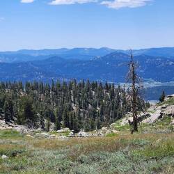 Looking back at where I've been