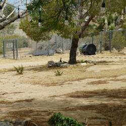 Wer findet unser Begrüßungskommando - das Erdmännchen?