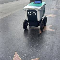 In Hollywood angekommen begrüßt uns dieser kleine Freund 💕