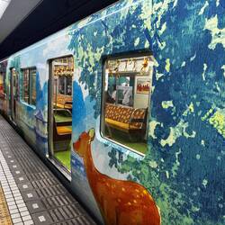 Nara Park train at Nara