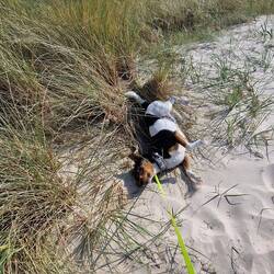 Ich will am Strand bleiben! 😂