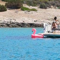 In der "Flamingo -Bay" von Spetsrs