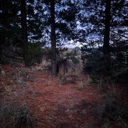 Our camp spot - the tent just squeezed in under the trees, sheltered from the road.