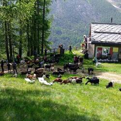 Zwischenstopp am Café Alpenblick