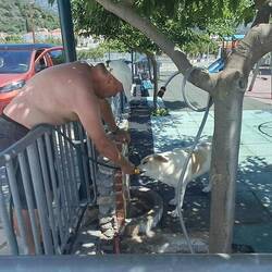 Wasser tanken und durstigen Hund versorgen