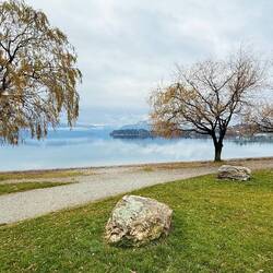 The lakefront with Lake Wanaka behind