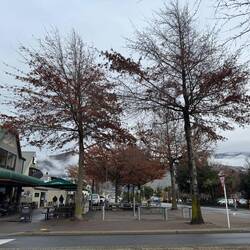 Downtown Wanaka