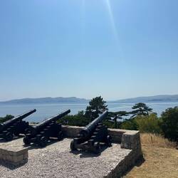 Gut beschützt zudem