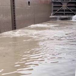 There's an old saying, "Rising porridge lifts all boats."