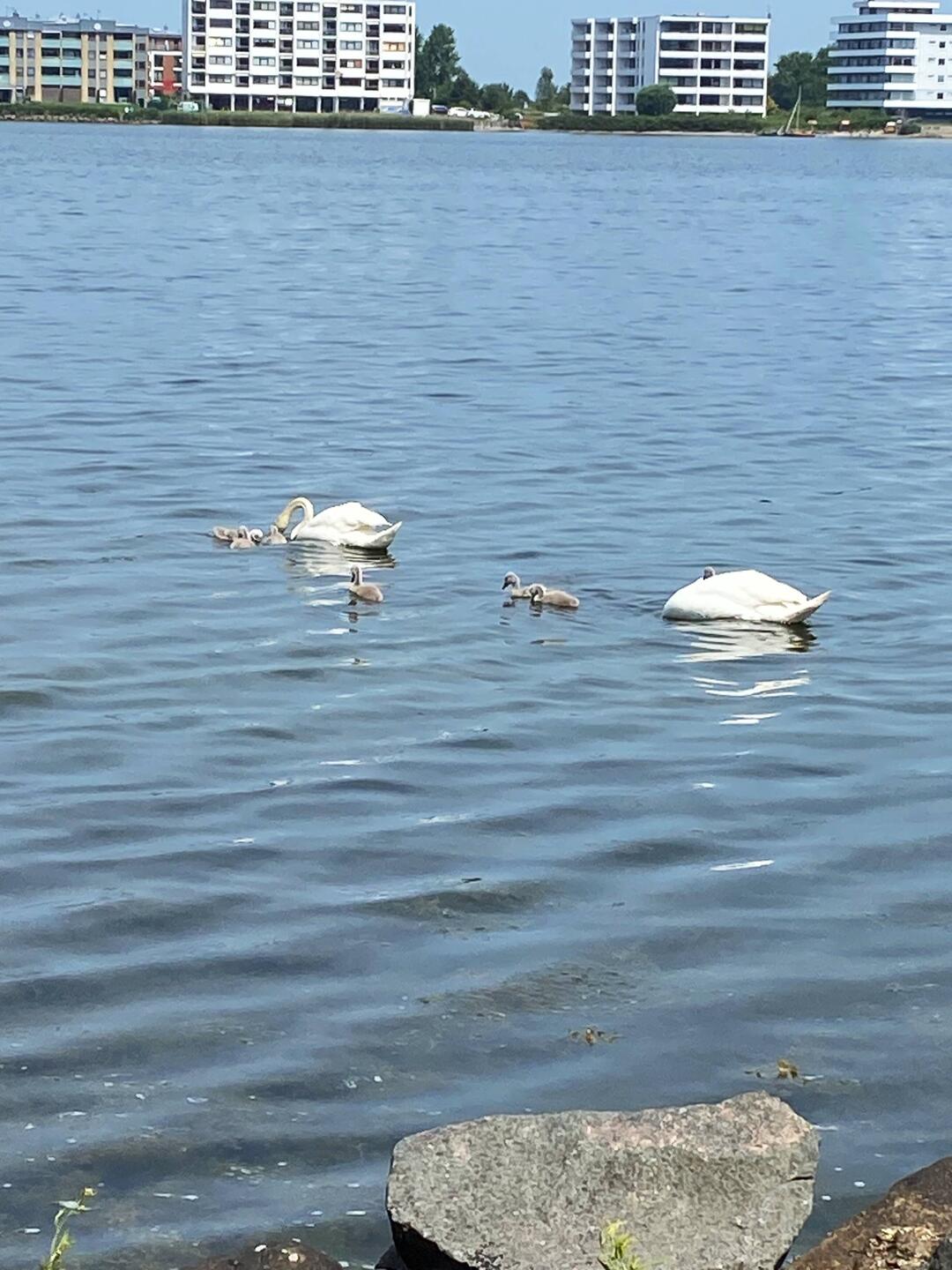 Auf dem Weg ins Zentrum