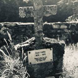 ....mit offensichtlich langlebigen Einwohnern...