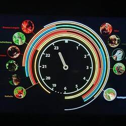 Raum der nachtaktiven Tiere