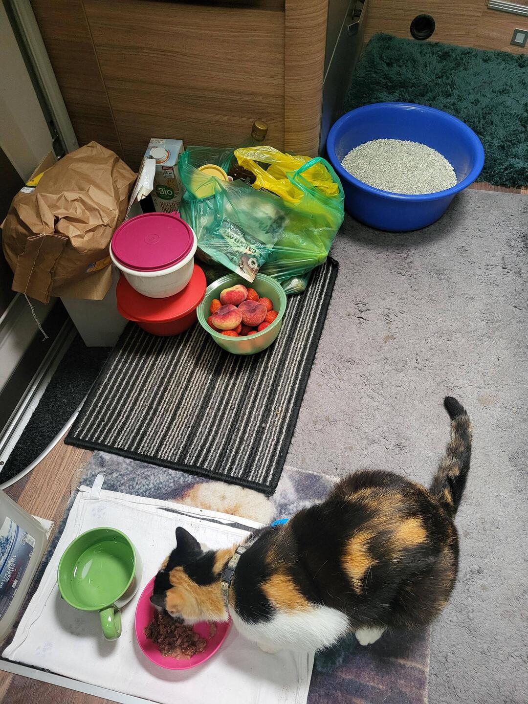 Für den Abend ist alles gepackt.