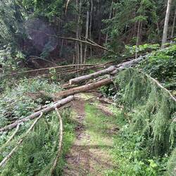 Dat viel al bij al erg goed mee.