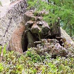 Solche Gesichter gibt es viele im VS