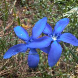 Zweisamkeit ist schöner als Einsamkeit