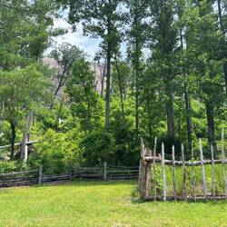 Stone Mountain is in the background