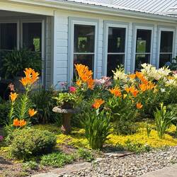 Laurel Gray Vineyard