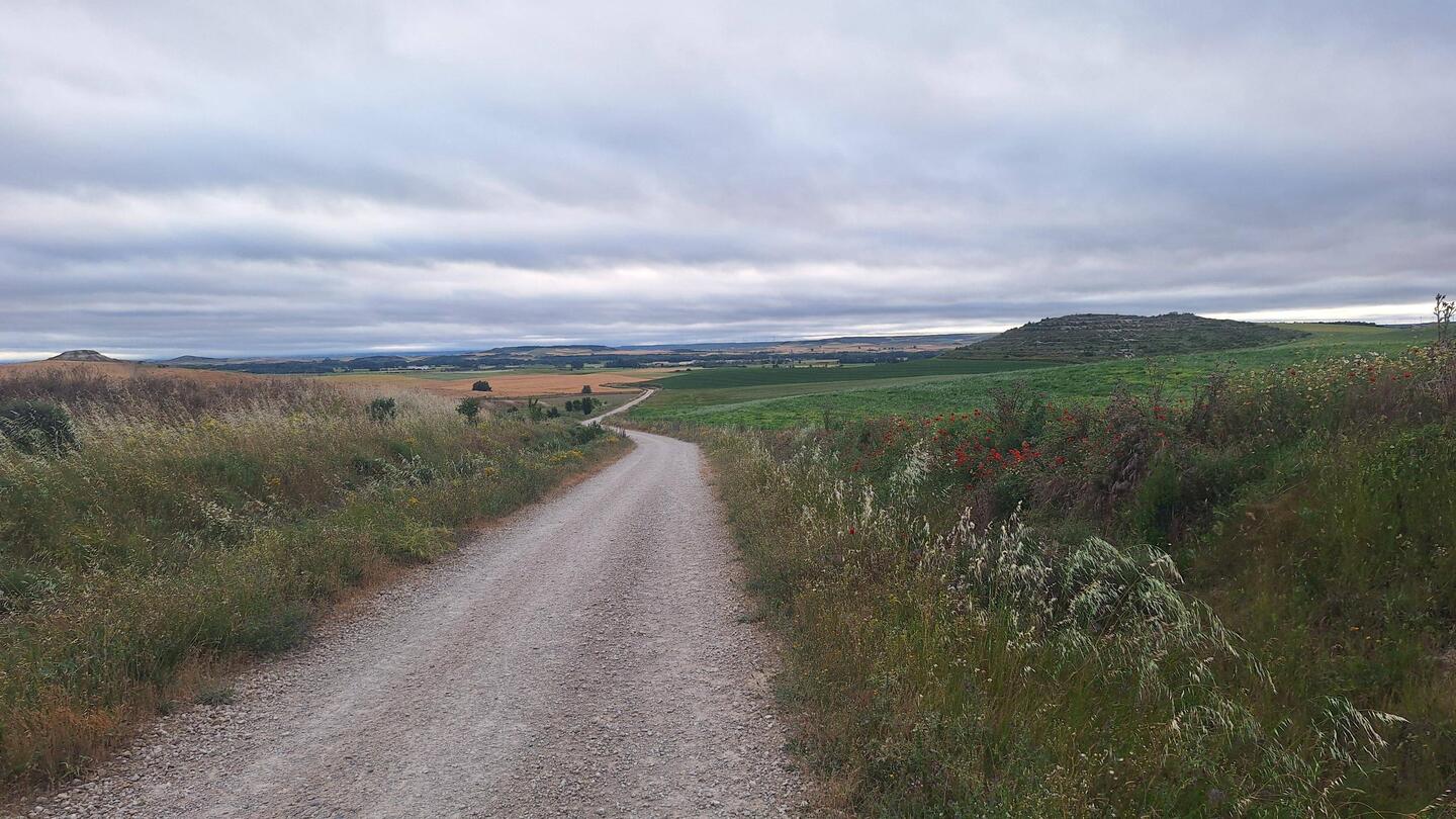 Great views for the 8km walk before breakfast
