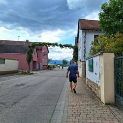 Das Weingut Geißert