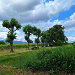 Blick in die Landschaft
