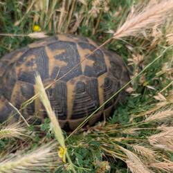 ...und hier ist sie in natura