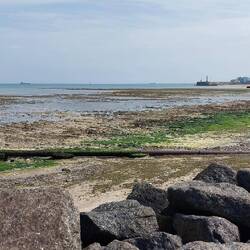 View across Nayland Rocks to Margate