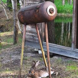 Der kennt seinen Platz 😅