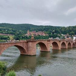 Die Sicht auf die Alte Brücke und Schloss