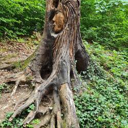 Die Ursula von Pfullingen, der Einheimische nennt sie Urschel