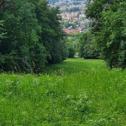 Der Blick nach Pfullingen