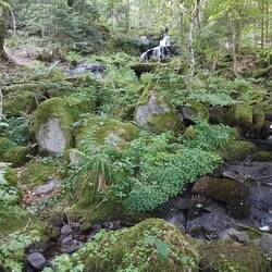 Cascade de la Wormsa