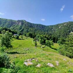 Die Aussicht vom Mittagessen