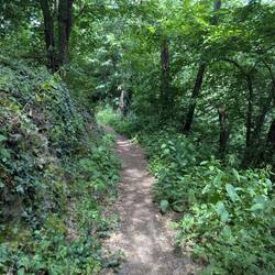 Singeltrail