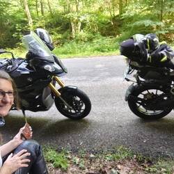 Pause im Wald