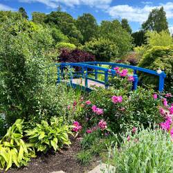 Glamis Castle - Kitchen Garden