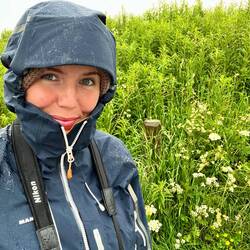 Puffins-Suche bei "bestem" Wetter