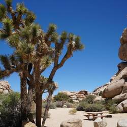 ... das ist doch mal ein Campground - und davon gibts hier viele.