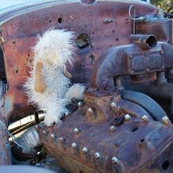 ... glaube, da ist nichts mehr zu machen! Oder was meint Ihr?