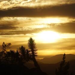 Blick aus dem Fenster