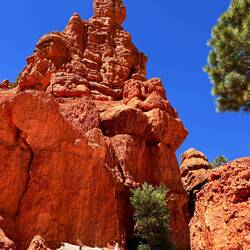 Red Canyon